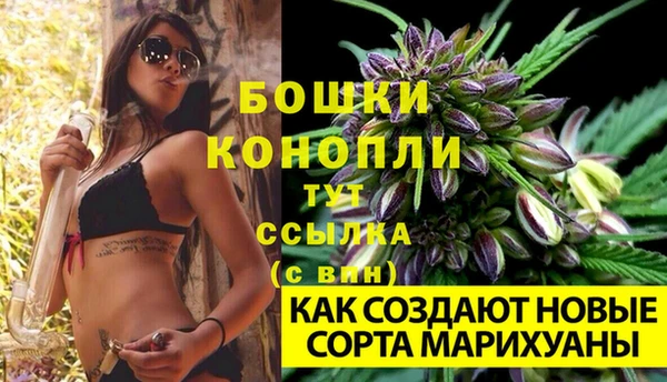 2c-b Бронницы