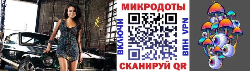 Псилоцибиновые грибы Psilocybe  Губкин 